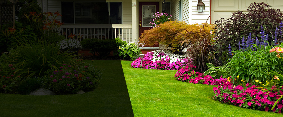 Collierville Landscapers