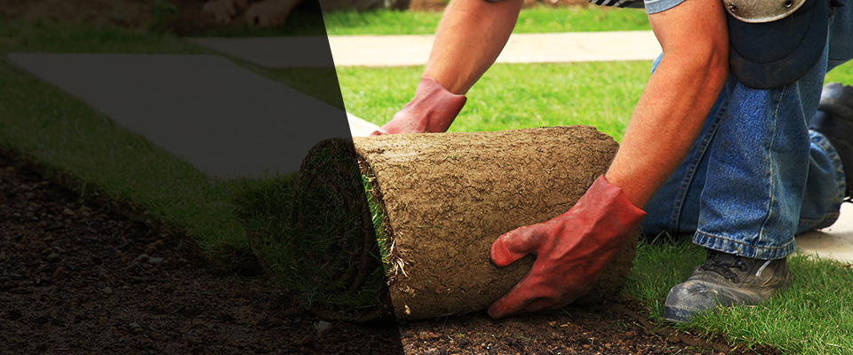 Collierville Landscapers